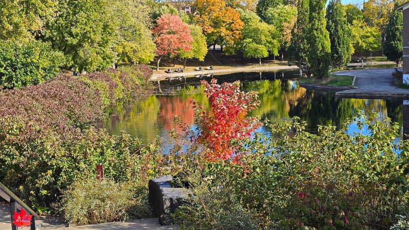 Montreal---Parc LaFontaine 2 - MONTREAL -- CANADA