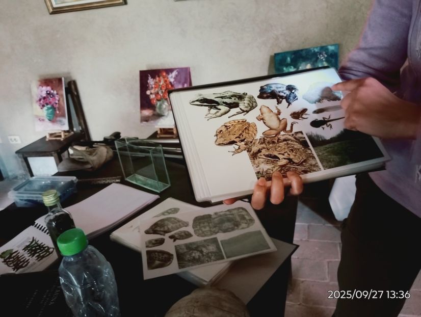  - 2025_26 Ungra cls 5a- 7a -La Cetate