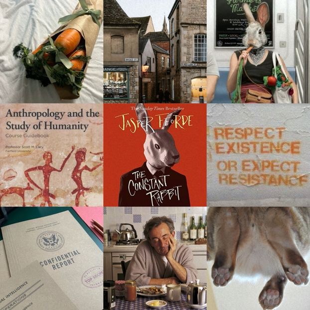 ⠀C̣ọṇṣṭạṇṭ Ṛạḅḅịṭ —J.♥Fforde. ·✭✭✭✫✫·⠀⠀⠀.｡`Standalone྅Fantasy Lit. Fiction´ - wipe stardust from your eyes