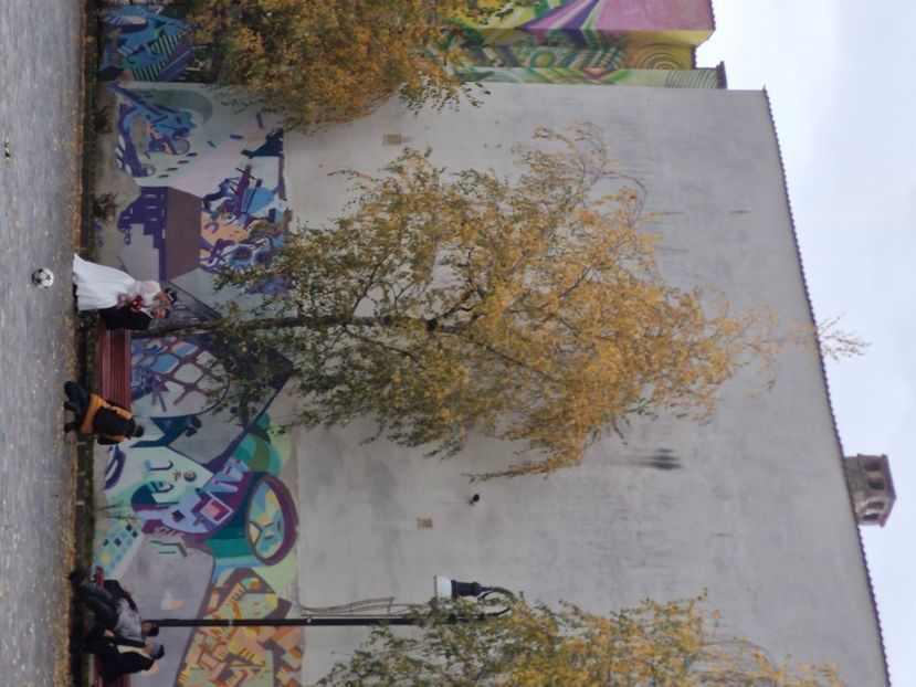  - Brașov noiembrie 2025