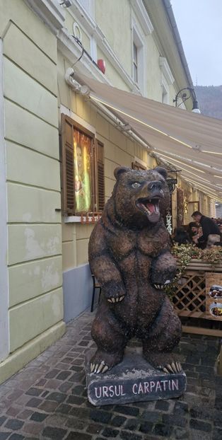  - Brașov noiembrie 2025