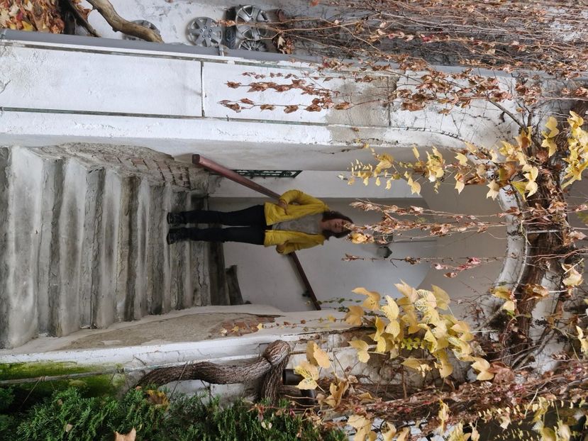  - Brașov noiembrie 2025