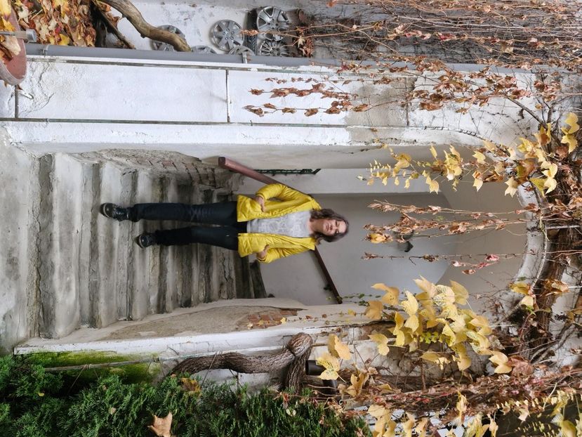  - Brașov noiembrie 2025