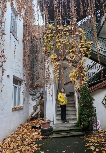  - Brașov noiembrie 2025