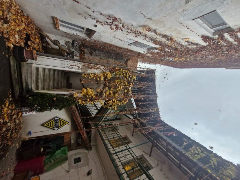  - Brașov noiembrie 2025