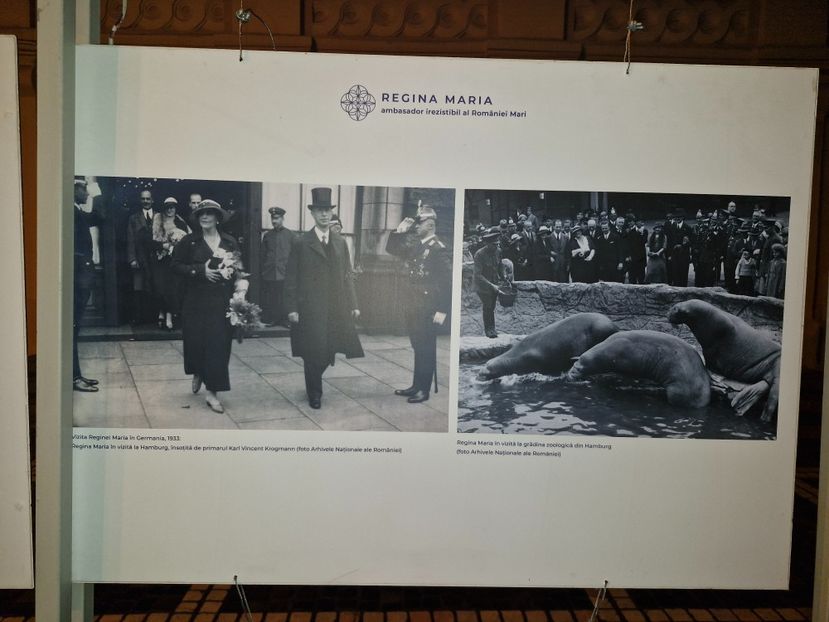  - Brașov noiembrie 2025