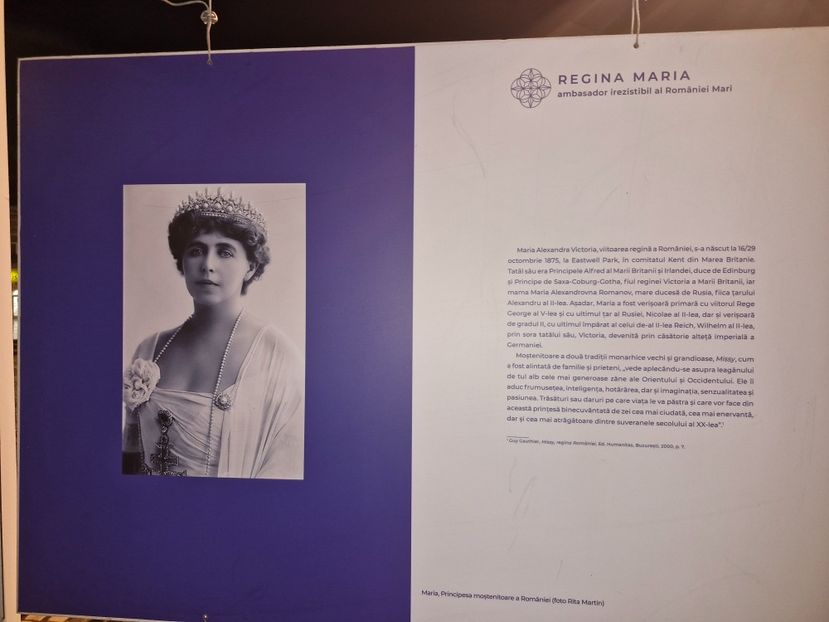  - Brașov noiembrie 2025