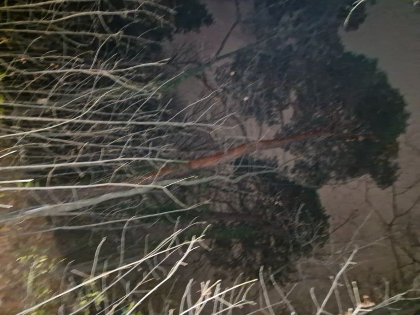  - Brașov noiembrie 2025