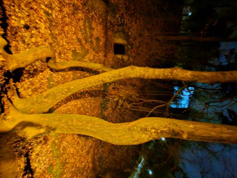  - Brașov noiembrie 2025