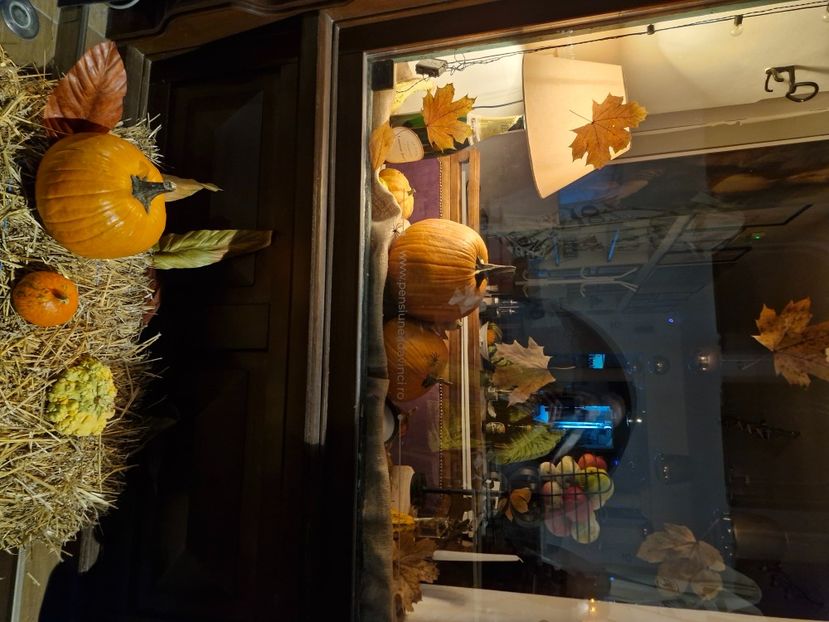  - Brașov noiembrie 2025