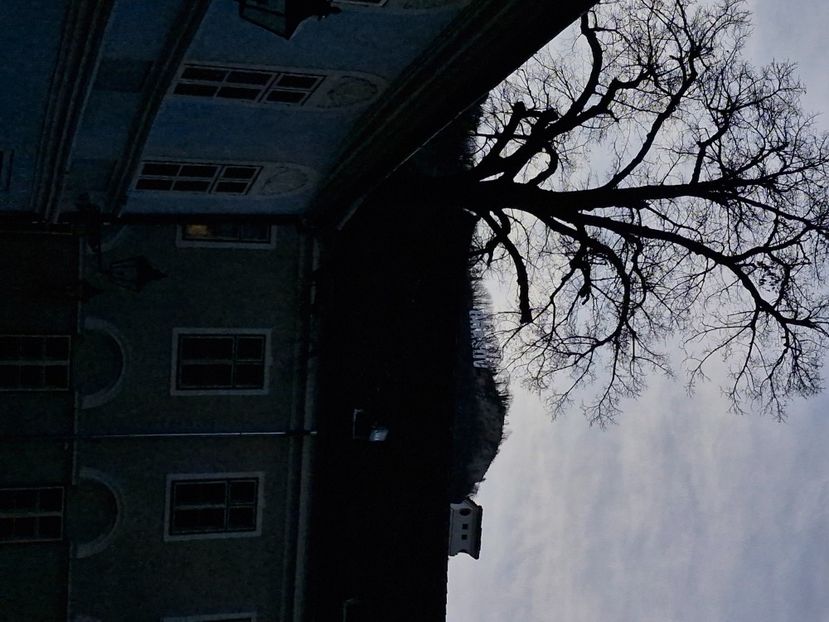  - Brașov noiembrie 2025