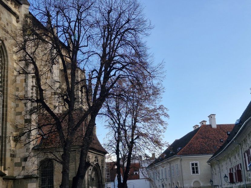  - Brașov noiembrie 2025