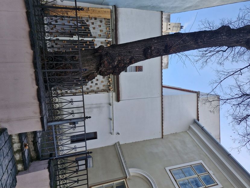  - Brașov noiembrie 2025