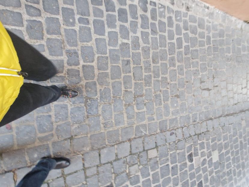  - Brașov noiembrie 2025