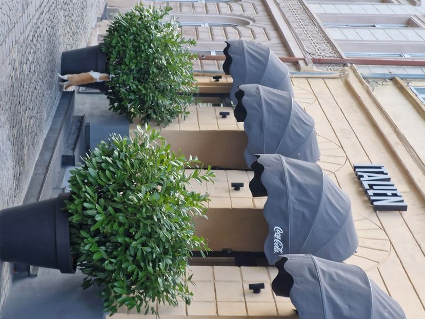  - Brașov noiembrie 2025