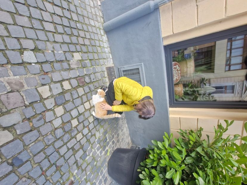  - Brașov noiembrie 2025