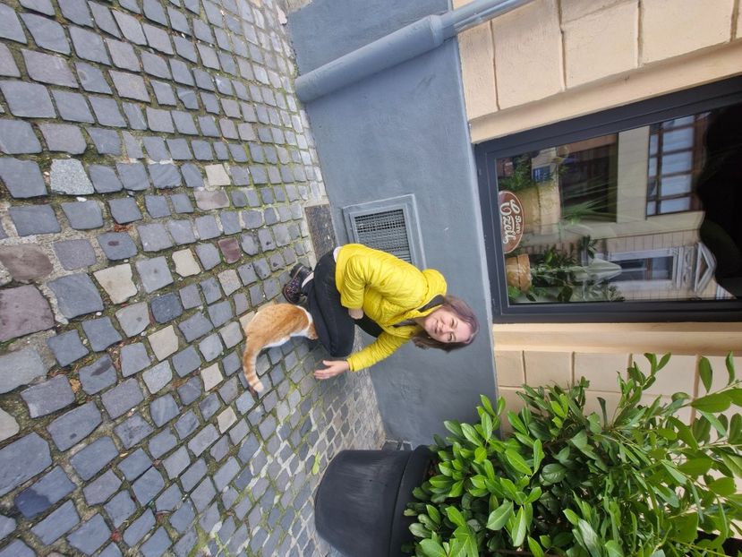  - Brașov noiembrie 2025