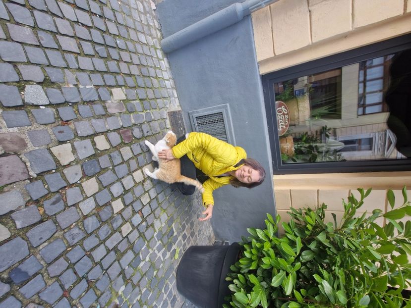  - Brașov noiembrie 2025