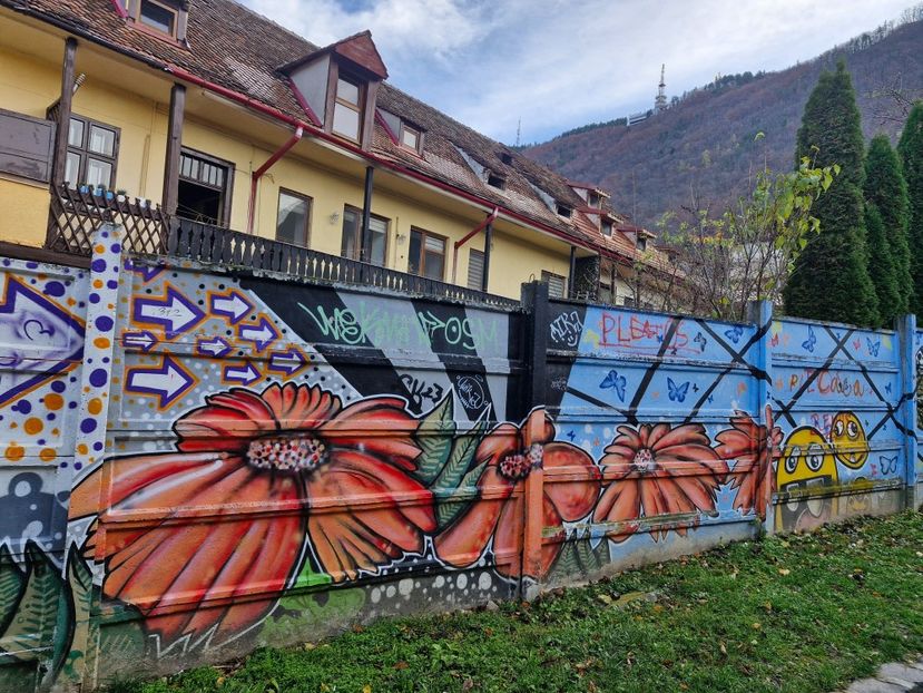  - Brașov noiembrie 2025