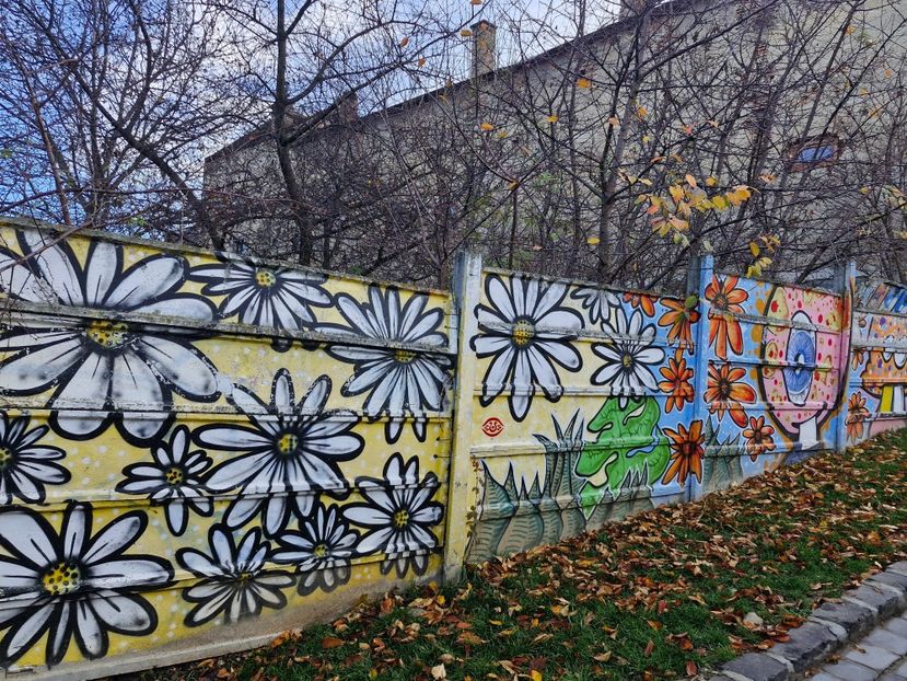  - Brașov noiembrie 2025