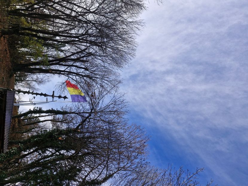  - Brașov noiembrie 2025