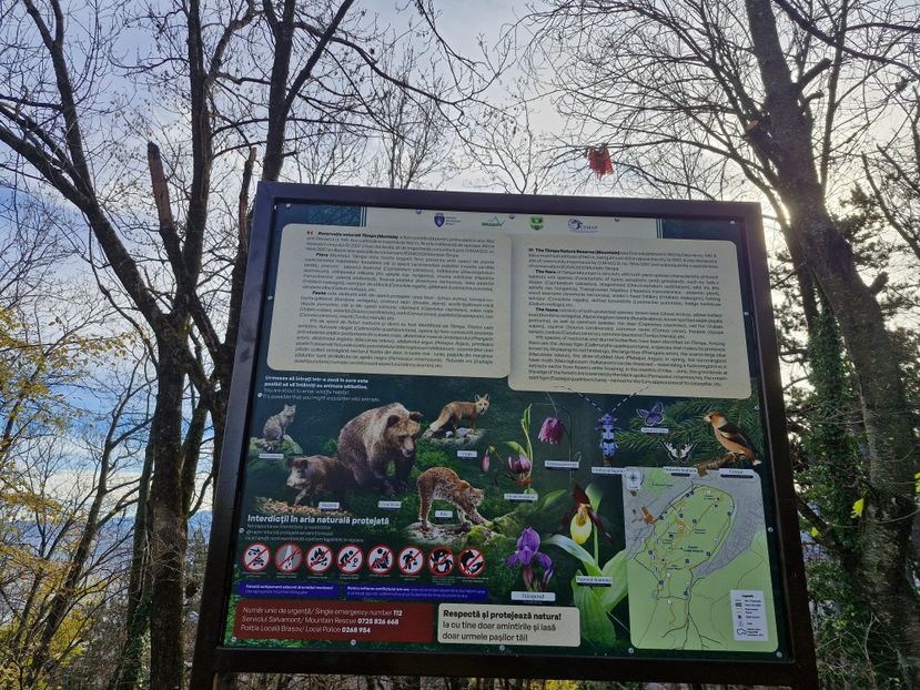  - Brașov noiembrie 2025