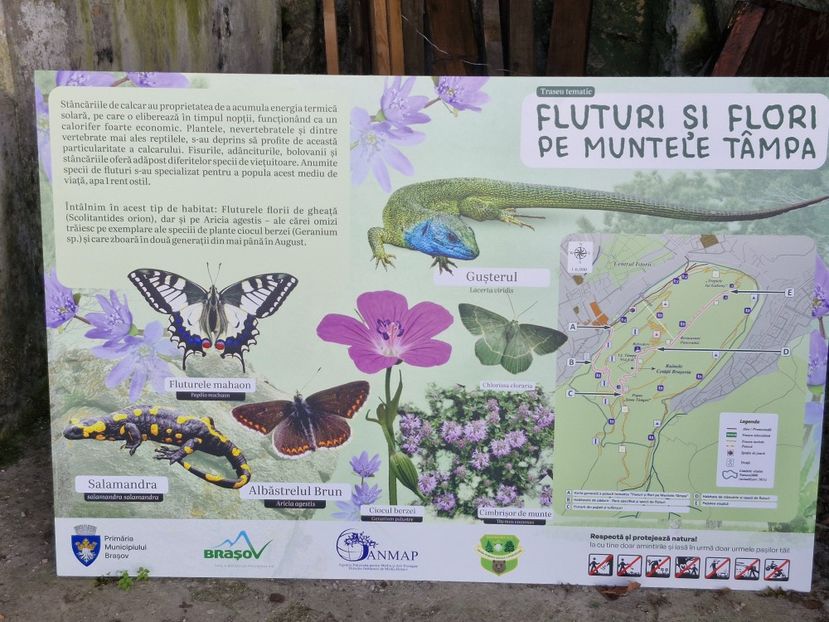  - Brașov noiembrie 2025