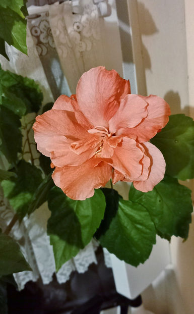  - 2025 - 03 - Toamna