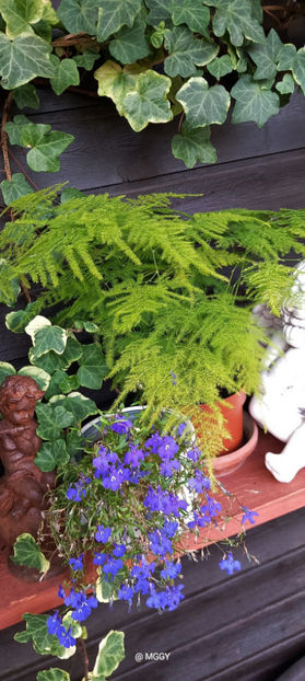  - 2025 - 03 - Toamna