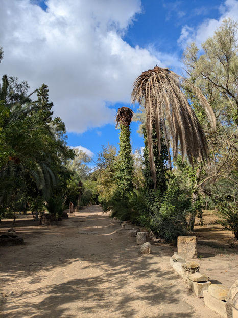 PXL_20251109_112302440 - Cartagina