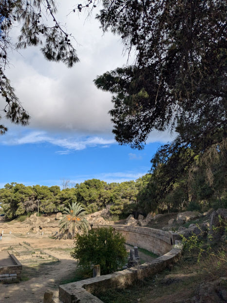 PXL_20251109_125859621 - Cartagina