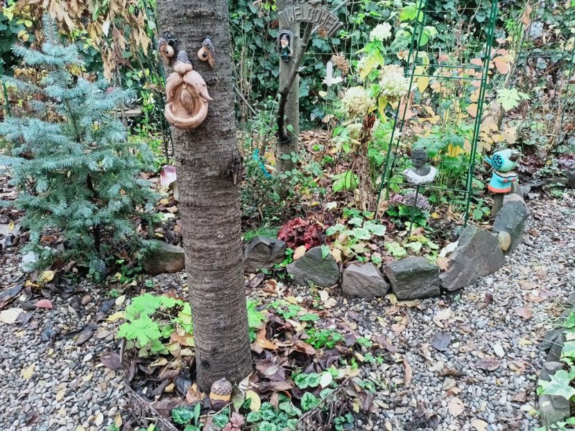  - Grădina 2025 continuare 6