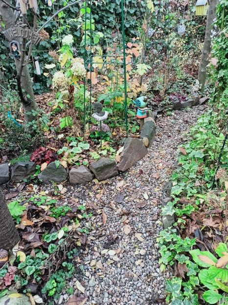  - Grădina 2025 continuare 6