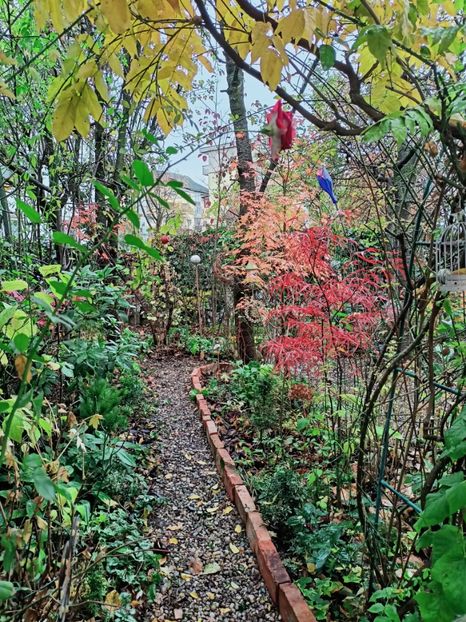  - Grădina 2025 continuare 6