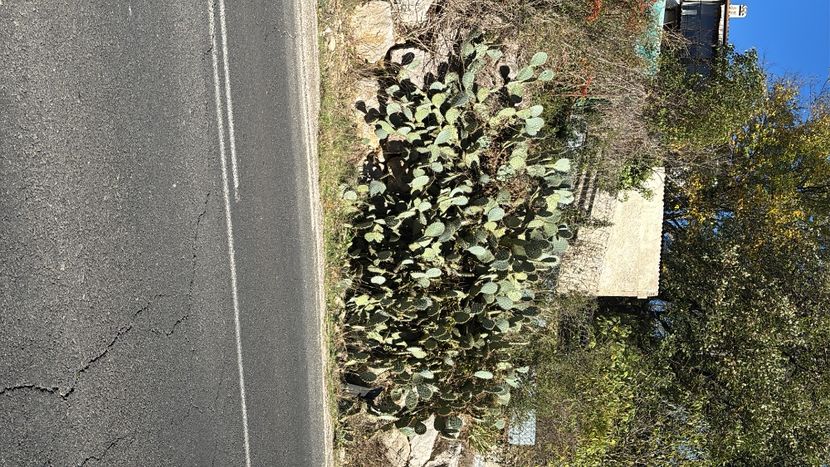 F2BCEC54-260C-41D0-99F6-5A63EB997C09 - Franta 2025