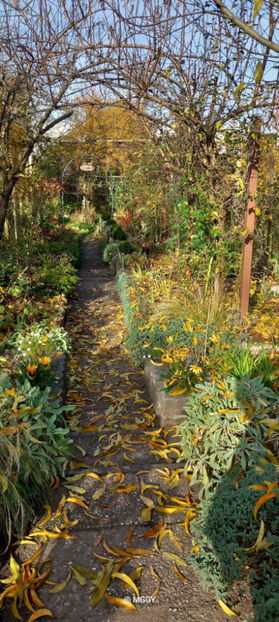  - 2025 - 03 - Toamna