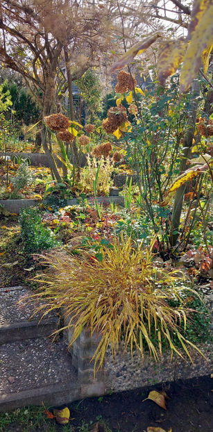  - 2025 - 03 - Toamna