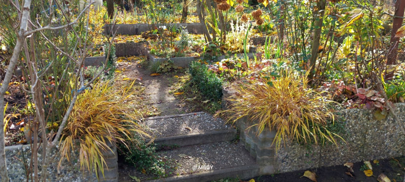 La mijlocul lui noiembrie. - 2025 - 03 - Toamna