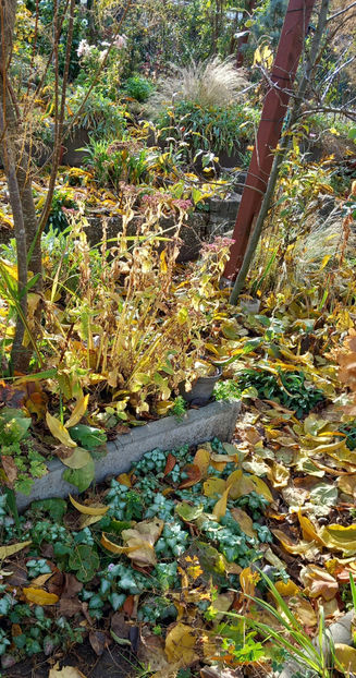  - 2025 - 03 - Toamna