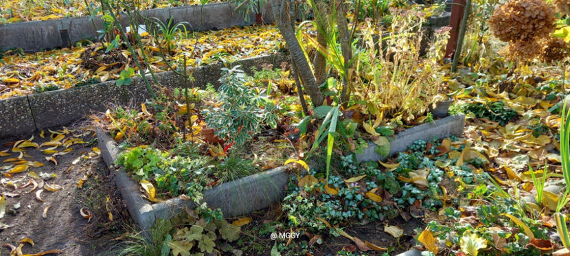  - 2025 - 03 - Toamna