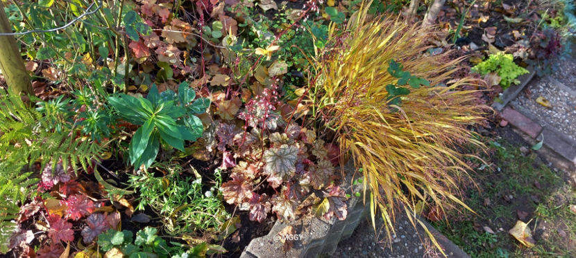  - 2025 - 03 - Toamna