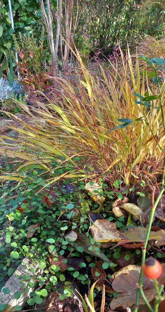  - 2025 - 03 - Toamna