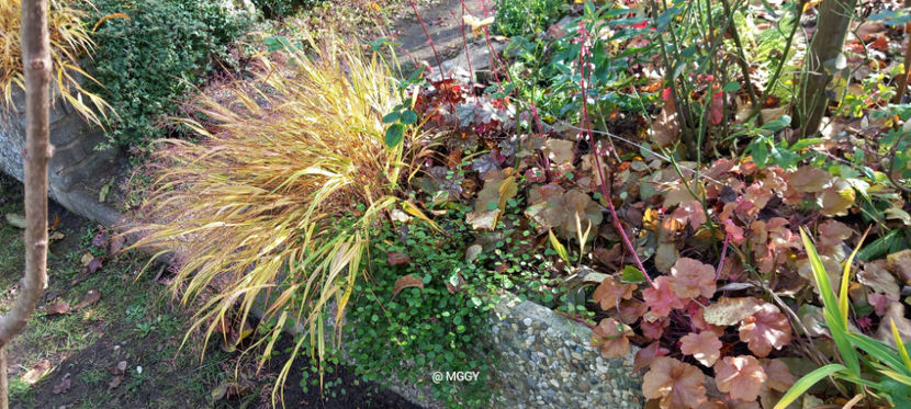  - 2025 - 03 - Toamna