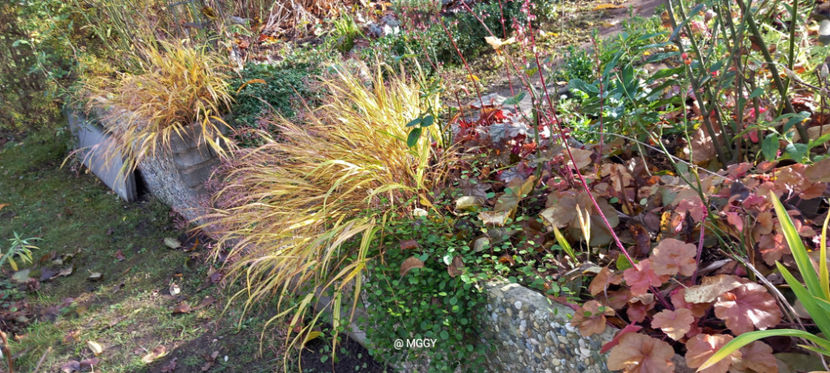  - 2025 - 03 - Toamna