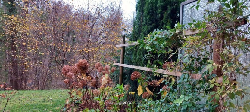  - 2025 - 03 - Toamna