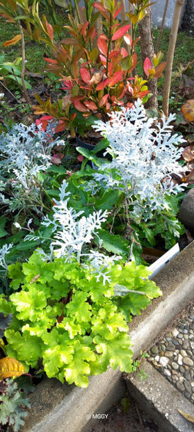  - 2025 - 03 - Toamna