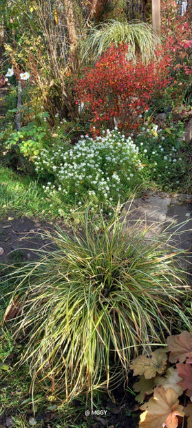  - 2025 - 03 - Toamna