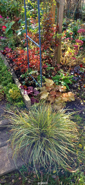  - 2025 - 03 - Toamna