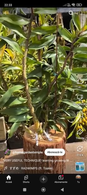 Screenshot_2025-09-23-22-33-48-588_com.google.android.youtube - Album