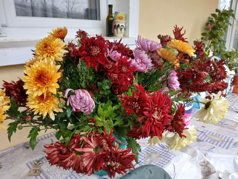  - Crizanteme si tufanele